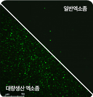 대량생산 결과